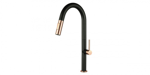 REED_8301_BlackGold