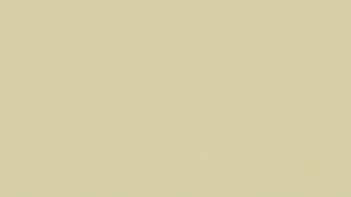 Плёнка ПВХ глянц. Макиотти 4DI B HG002 (0,30 мм) 1